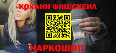 тгк Кингисепп
