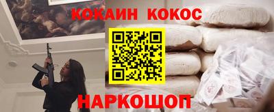 тгк Кингисепп