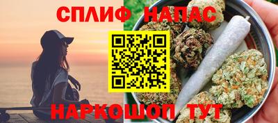 тгк Кингисепп