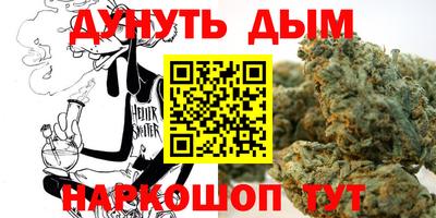 тгк Кингисепп