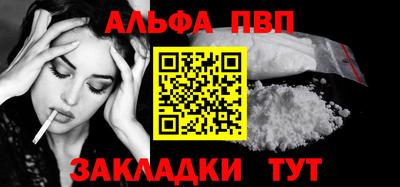 тгк Кингисепп