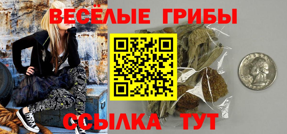 Кимры  Псилоцибиновые грибы GOLDEN TEACHER  Вход с VPN 
