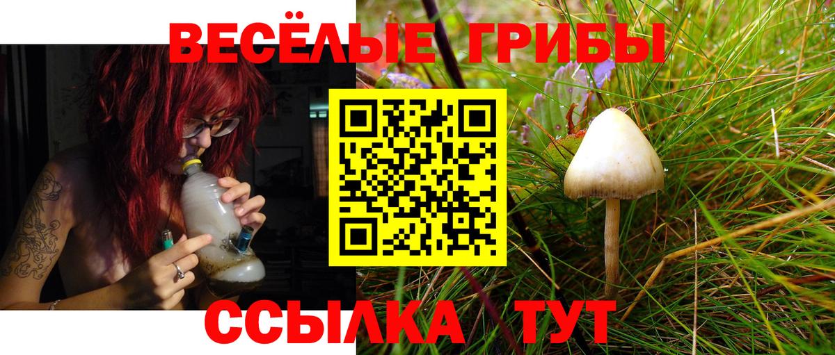 Псилоцибиновые грибы мицелий Кимры